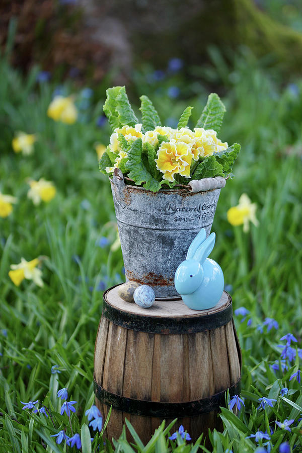 Ruffled Primrose In Tin Pot, Blue Easter Bunny And Easter Eggs On Upturned Pot In Flower Meadow Photograph by Angelica Linnhoff
