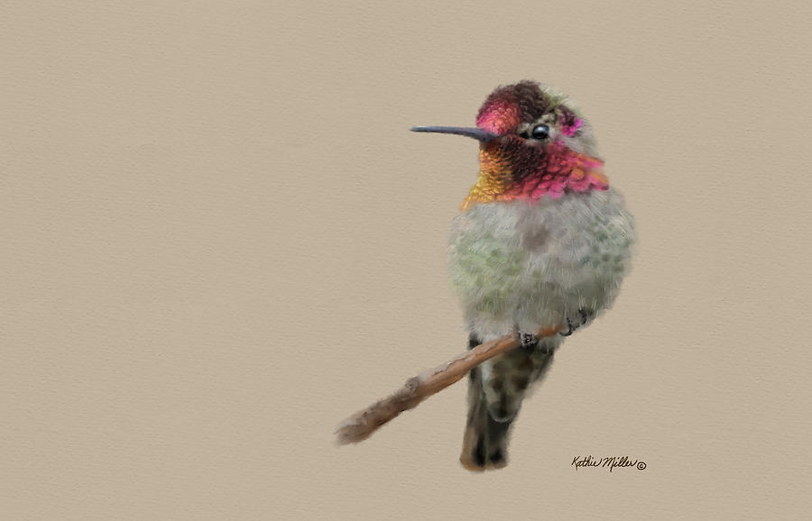Annas Hummingbird 2 Digital Art by Kathie Miller