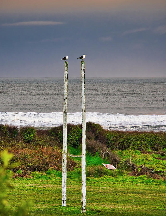 Rugby Goal - Hokitika - New Zealand by Steven Ralser Rugby Goal - Hokitika - New Zealand by Steven Ralser