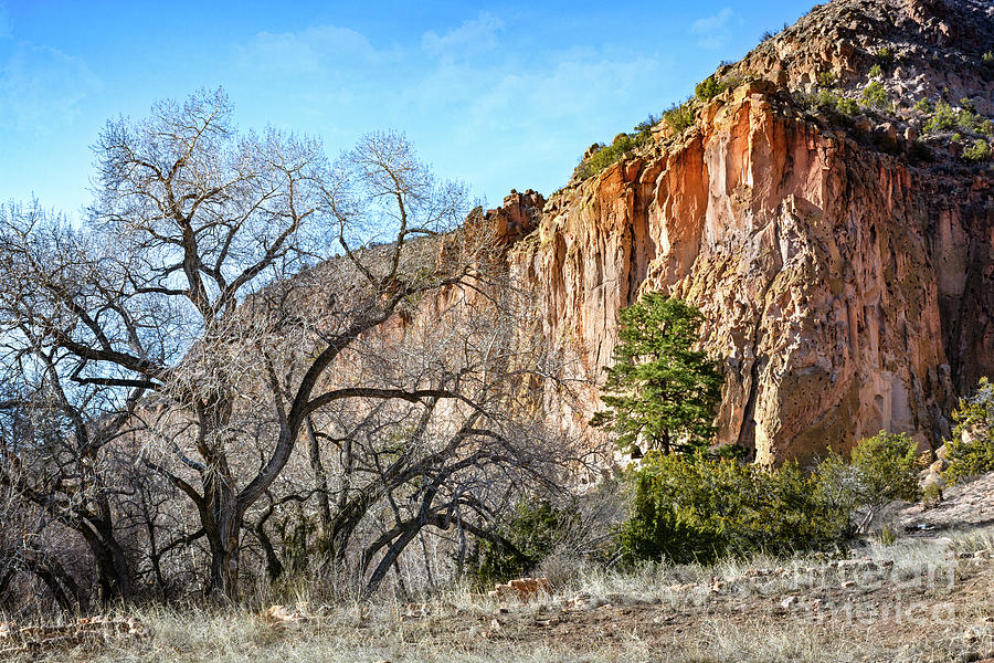 Rugged Bandelier by Susan Warren Rugged Bandelier by Susan Warren