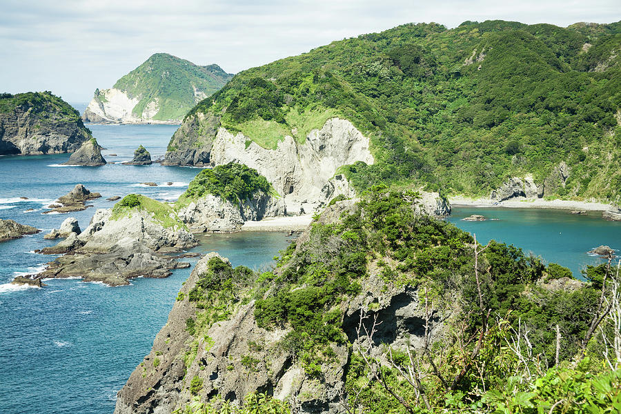 Rugged Coastline Covered By Lush Photograph by Ippei Naoi