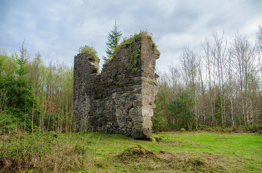 Ruin at Lough Eske Donegal Ireland Photograph by Bill Cannon