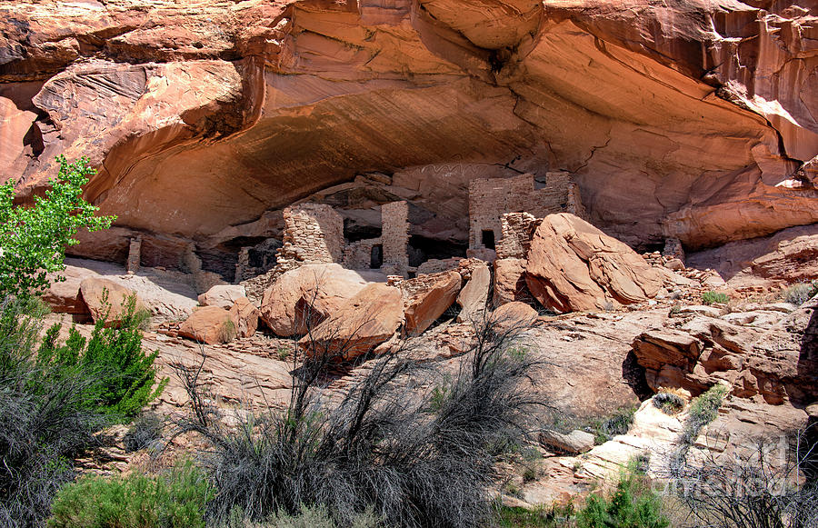 Ruins at Butler on the San Juan River Photograph by Mae Wertz Ruins at Butler on the San Juan River Photograph by Mae Wertz