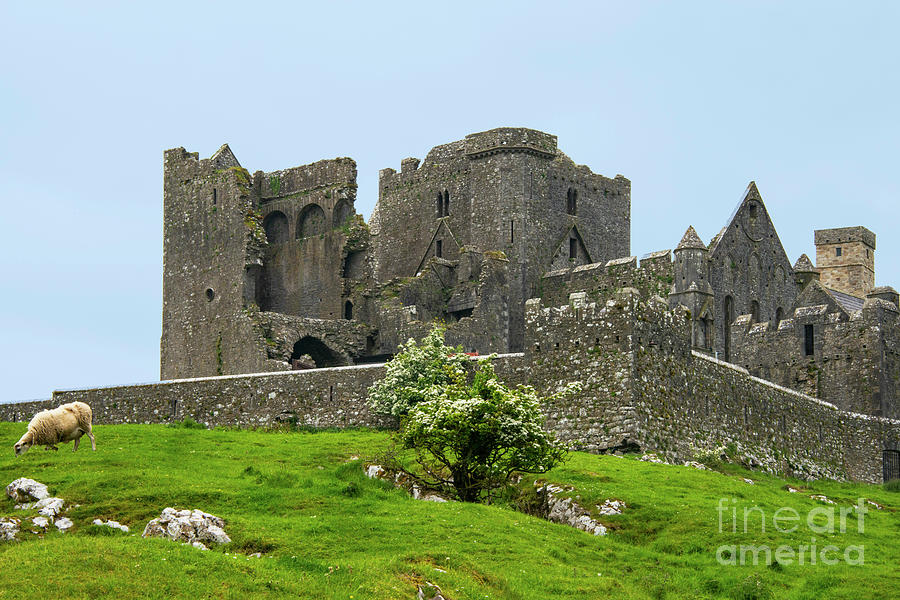 Ruins at Rock of Cashel Four Photograph by Bob Phillips