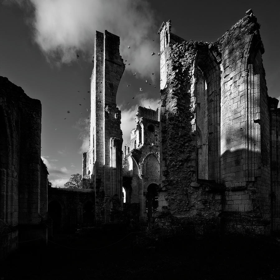 Black And White Photograph - Ruins Jumie?ges by Geoffrey Ansel Agrons