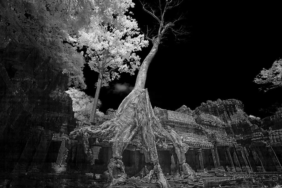 Ruins of Preak Khan in Cambodia in black and white infrared  Photograph by Karen Foley