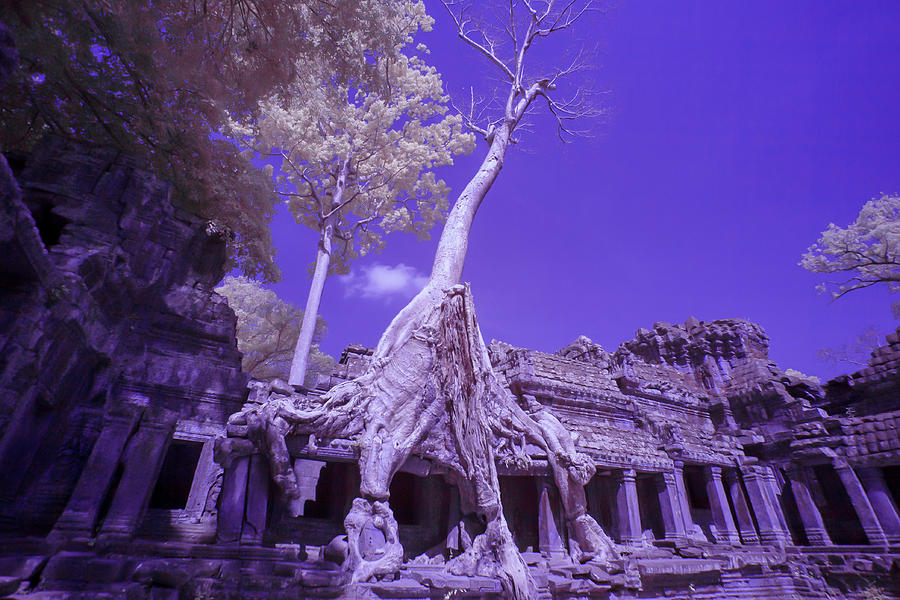 Ruins of Preak Khan in Cambodia in infrared Photograph by Karen Foley