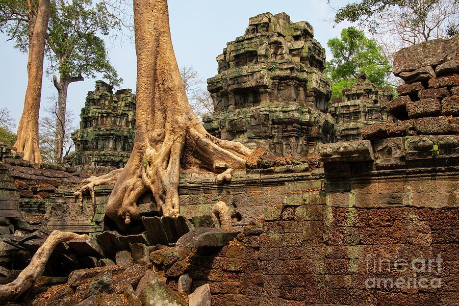 Ruins of Ta Prohm and Tree Roots Photograph by Bob Phillips