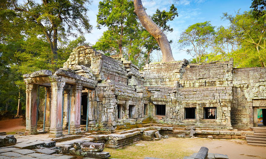 Scenic Photograph - Ruins Of Ta Prohm Temple, Angkor by Jan Wlodarczyk