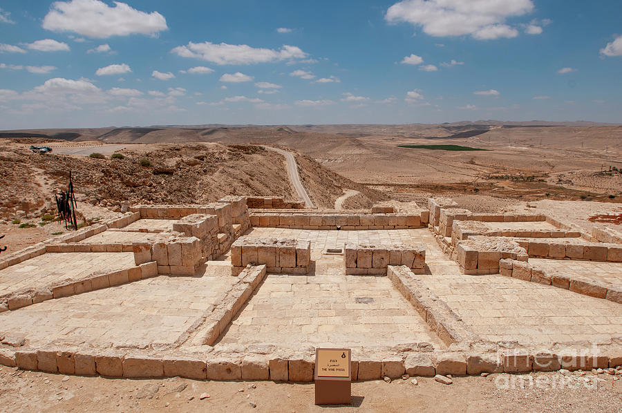 Ruins Of The Nabatean City Of Avdat Photograph by Marco Ansaloni / Science Photo Library