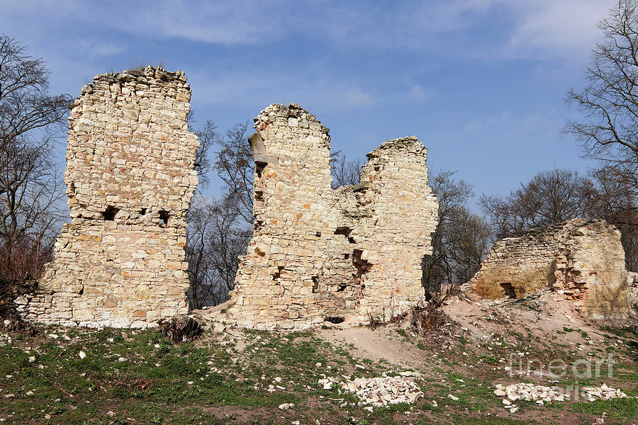 Castle Photograph - Ruins of the Pravda castle by Michal Boubin