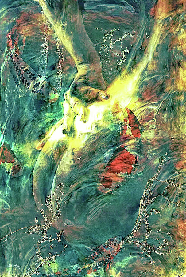 RUMINATIONS OF WHIRLING KOI by G Berry RUMINATIONS OF WHIRLING KOI by G Berry