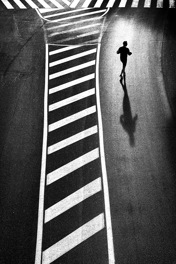 Zebra Photograph - Runner by Franco Maffei