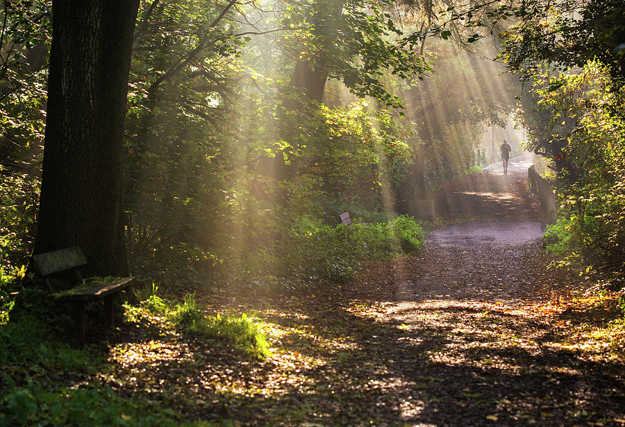 Runner On Path In Early Morning, Hampstead Heath, London Photograph by Matthew Maran / Naturepl.com Runner On Path In Early Morning, Hampstead Heath, London Photograph by Matthew Maran / Naturepl.com