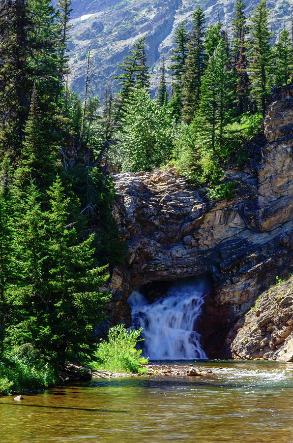  Running  eagle  GNP Photograph by Dwight Eddington