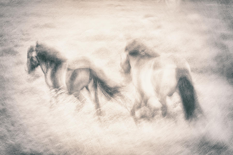 Horse Photograph - Running Free by Gustav Davidsson