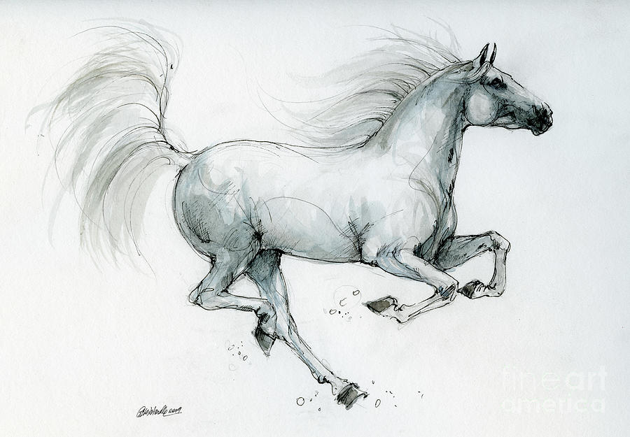 Running Horse 2019 09 06 Drawing