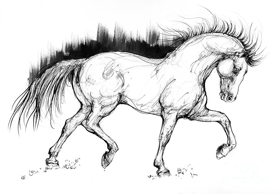 how to draw a horse galloping