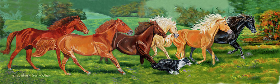 Dog Painting - Running Horses With Border Collie by Eileen Herb-witte