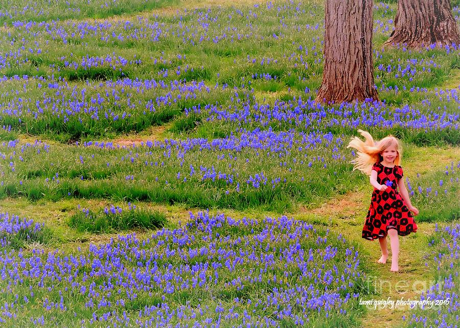 Running Where The Bluebells Bloom Photograph by Tami Quigley