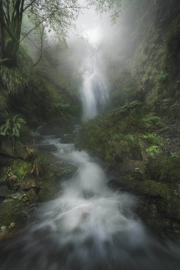 Running Wild Photograph by Patxi Pérez - Fine Art America