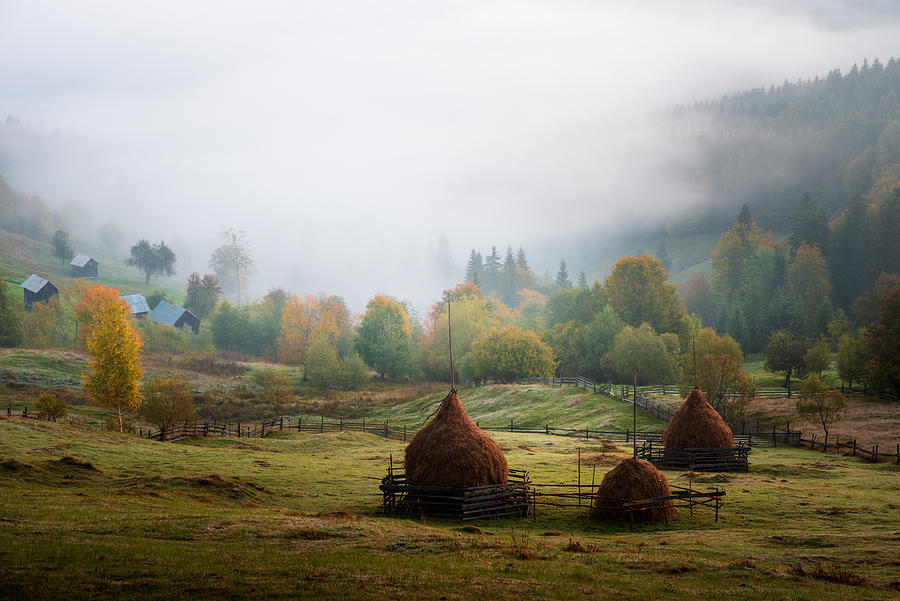 Rural Autumn Photograph by Alexandru Handrache