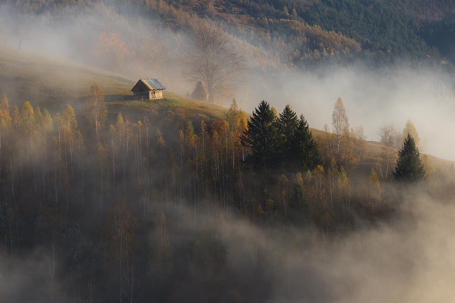 Rural Autumn Photograph by Alexandru Ionut Coman