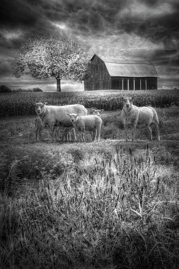 Rural Black and White Photograph by Debra and Dave Vanderlaan
