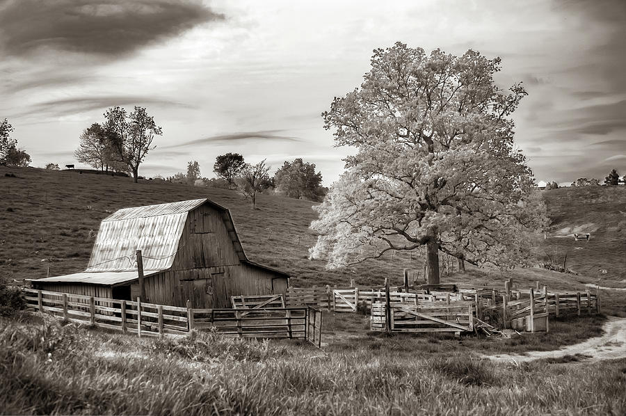 America Photograph - Rural Farmhouse and Lone Tree Landscape in Infrared Sepia by Gregory Ballos