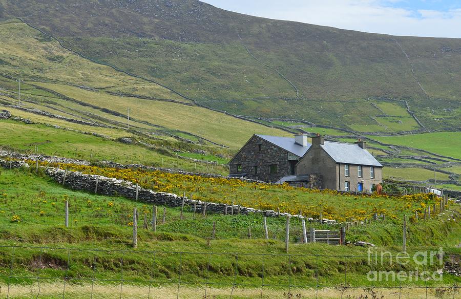 Rural Ireland Photograph by Michelle Welles