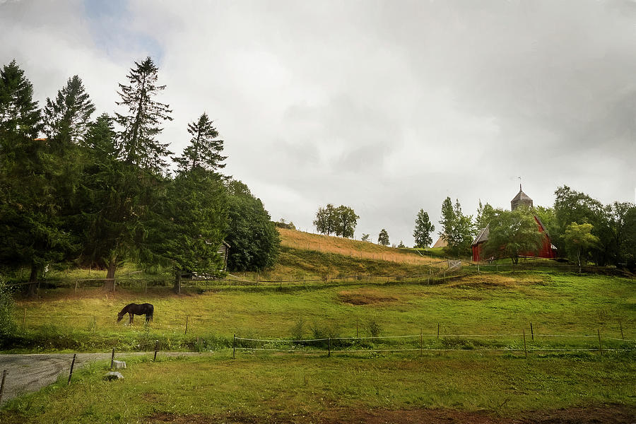Rural Landscape in Trondheim Norway by Whitney Leigh Carlson Rural Landscape in Trondheim Norway by Whitney Leigh Carlson