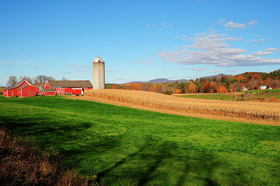Rural Landscape, Middle Granville, Ny Digital Art by Stephen G. Donaldson
