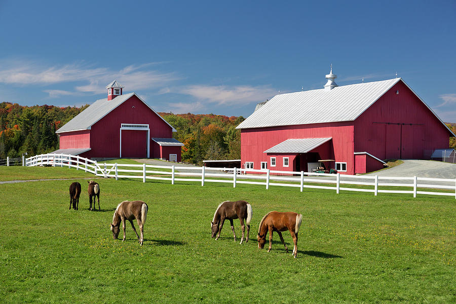 Rural Landscape With Barns Digital Art by Tim Mannakee