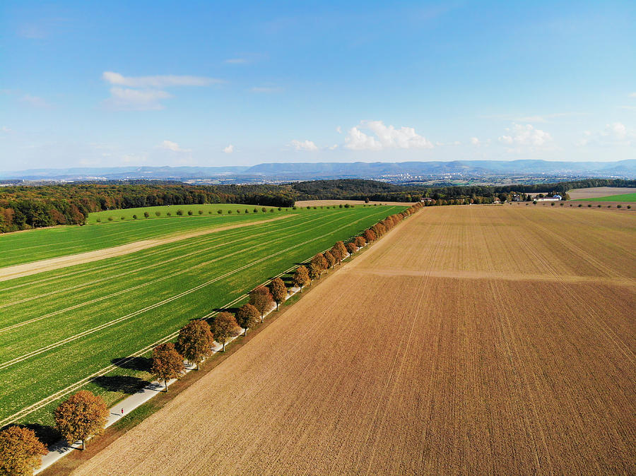 Rural landscape with fields and trees aerial view Photograph by Matthias Hauser