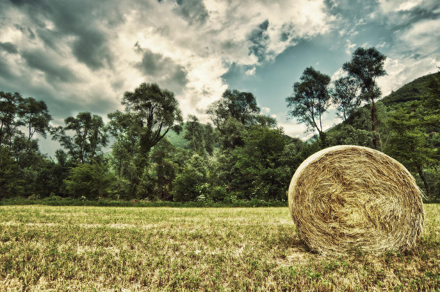 Rural Landscape With Hay Bale Photograph by Sisifo73photography By Marco Romani