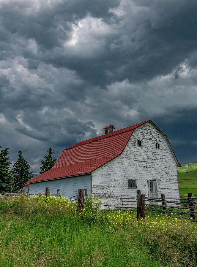 Rural Montana Barn, Vertical Photograph by Marcy Wielfaert