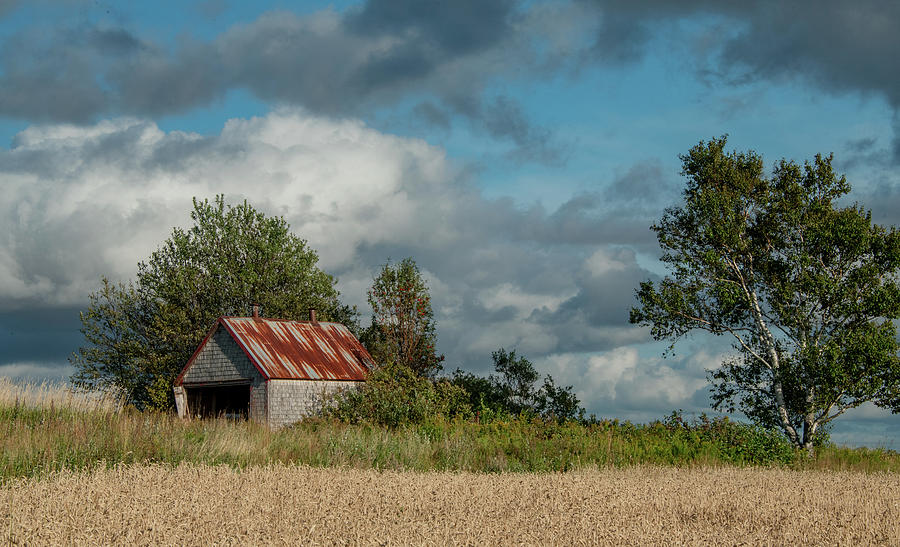 Rural Prince Edward Island On A Summer Day Photograph by Marcy Wielfaert