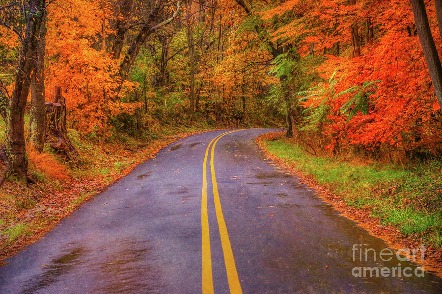 Rural Road Fall Leaves Digital Art by Randy Steele