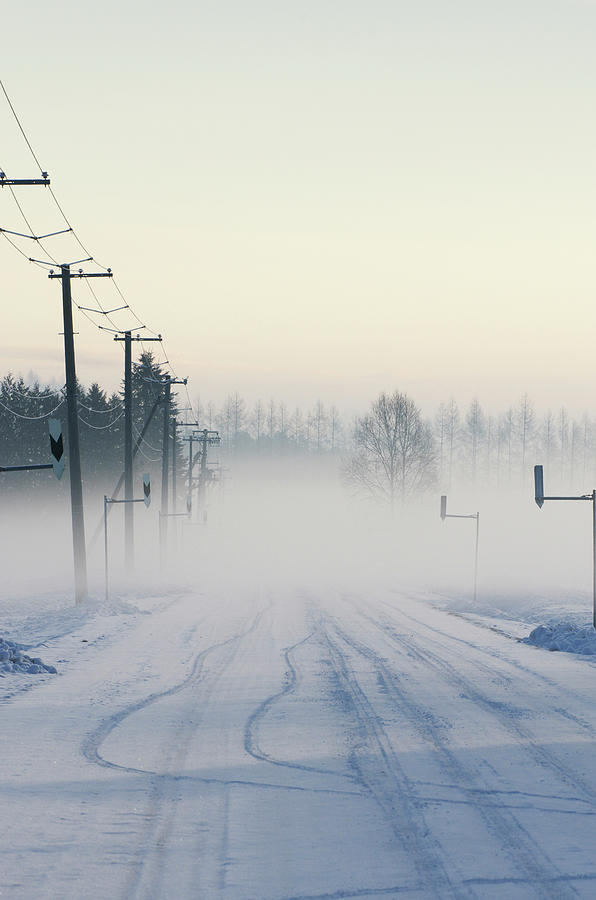 Rural Road In Winter Photograph by Image House/a.collectionrf