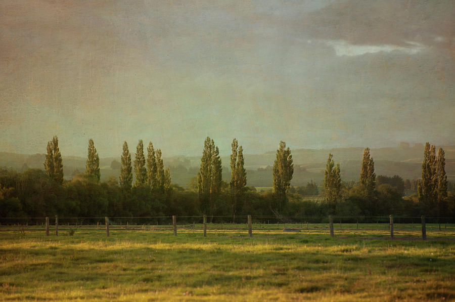 Rural Scene Photograph by Jill Ferry Rural Scene Photograph by Jill Ferry