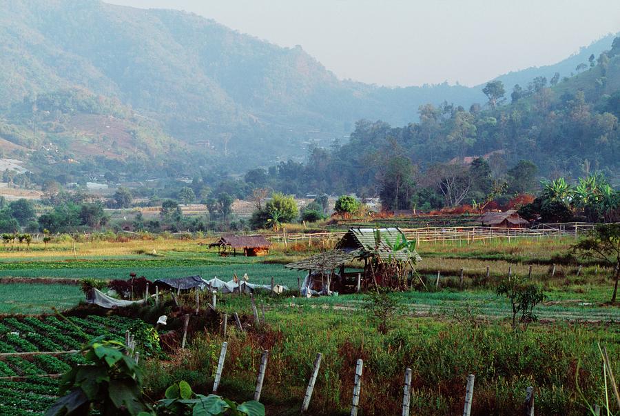 Rural Scene Near Chiang Mai, Thailand Photograph by Design Pics