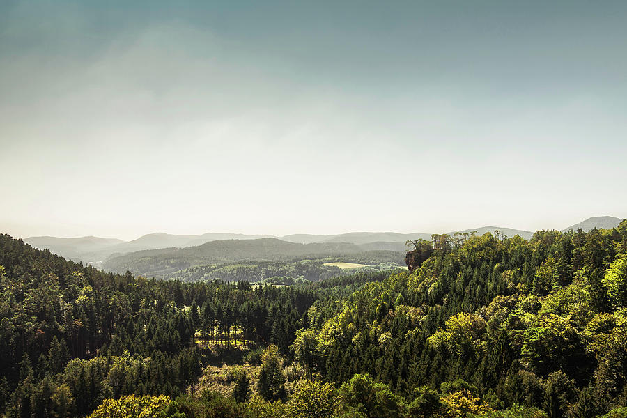 Rural Scene, Pfalz, Germany Photograph by Manuel Sulzer