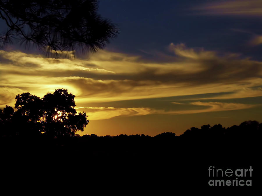 Rural Silhouette Sunset Photograph by D Hackett