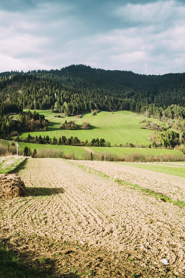 Rural Spring Hills Landscape Photograph by Pati Photography