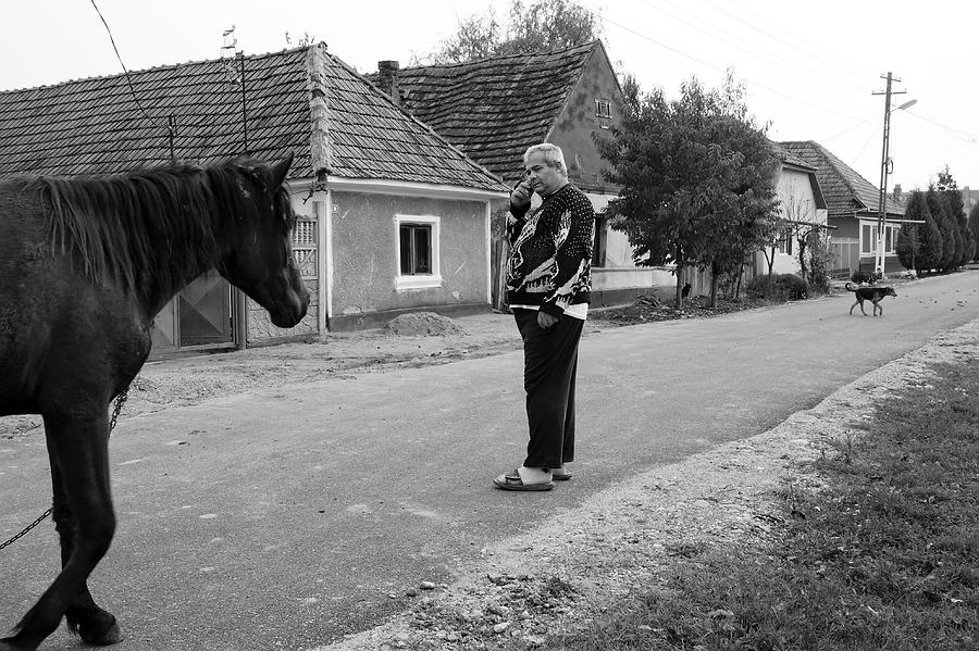 Rural Traffic Photograph by Dragoslav S.