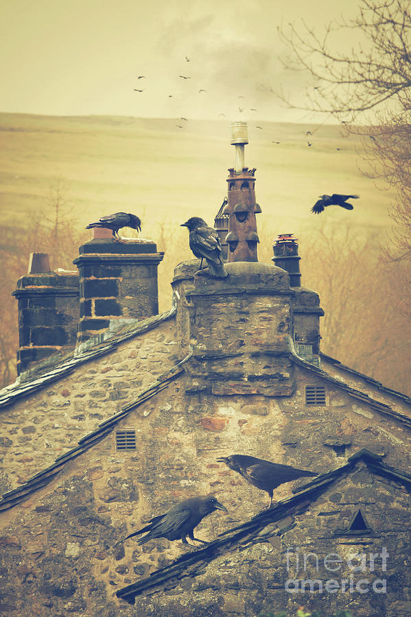 Rural Village Rooftops With Crows Photograph by Ethiriel Photography