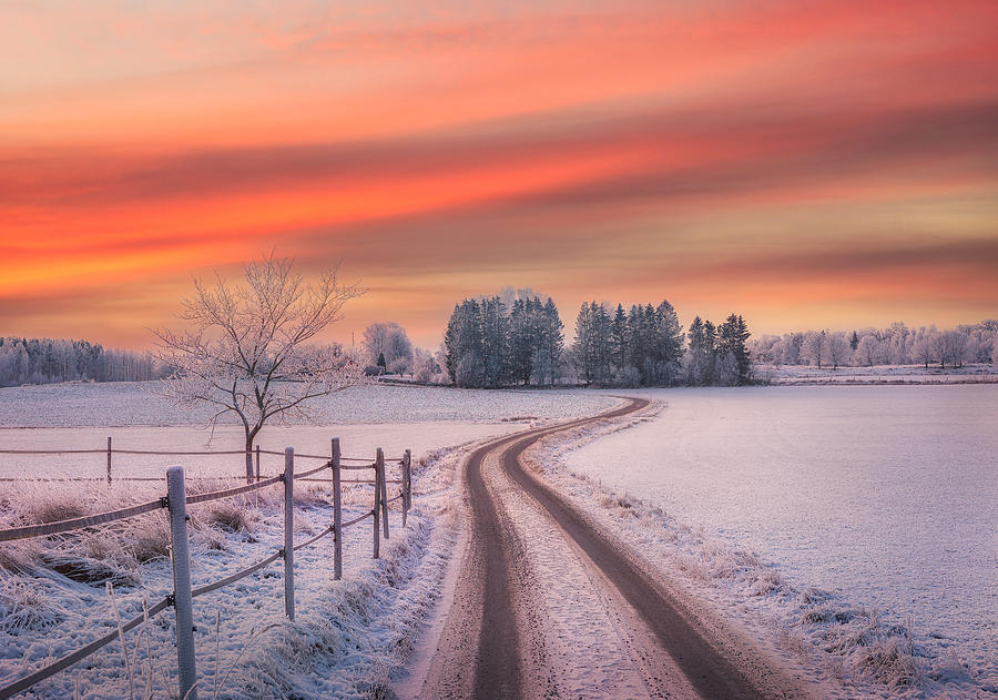 Rural Winter Scene Photograph by Christian Lindsten - Fine Art America