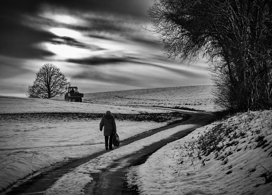 Rural Winter Scene Photograph by Jrgen Hartlieb