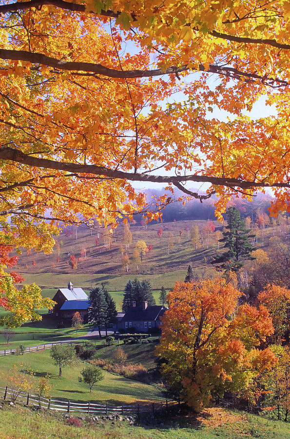 Rural Woodstock V Photograph by Ron Mellott - Fine Art America