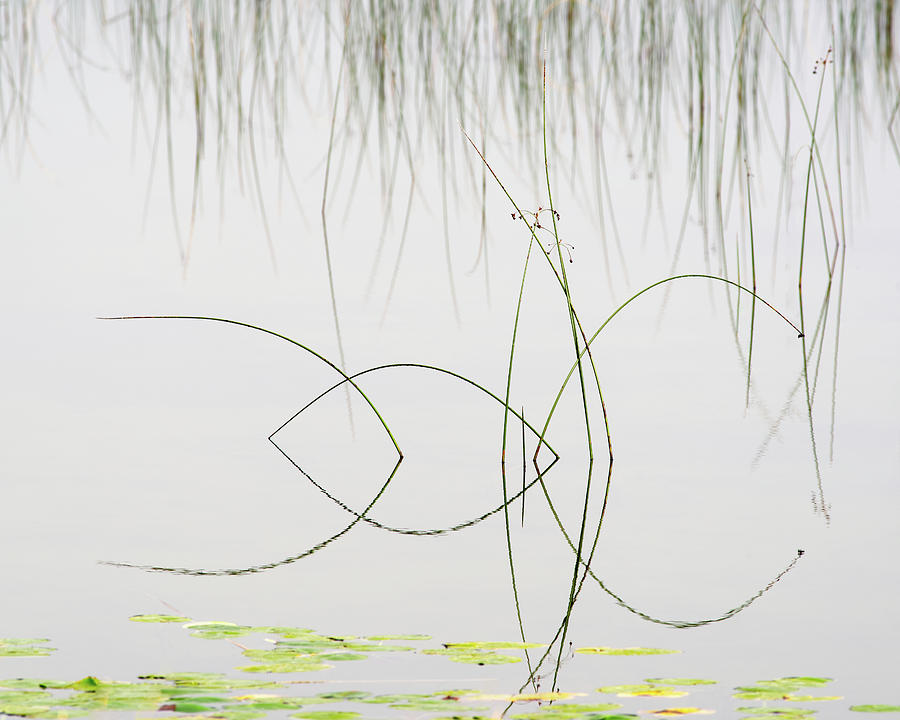 Rush Reflections #1 - Vesica Pisces symmetry- - foggy morning on Kangaroo Lake in Door County WI Photograph by Peter Herman